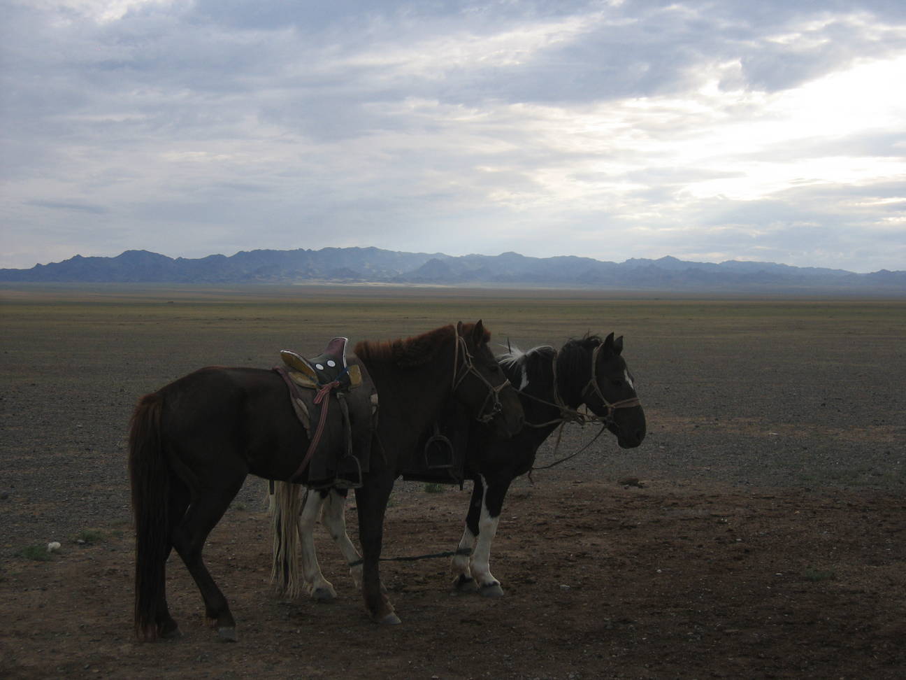 Camp Desert Gobi 14