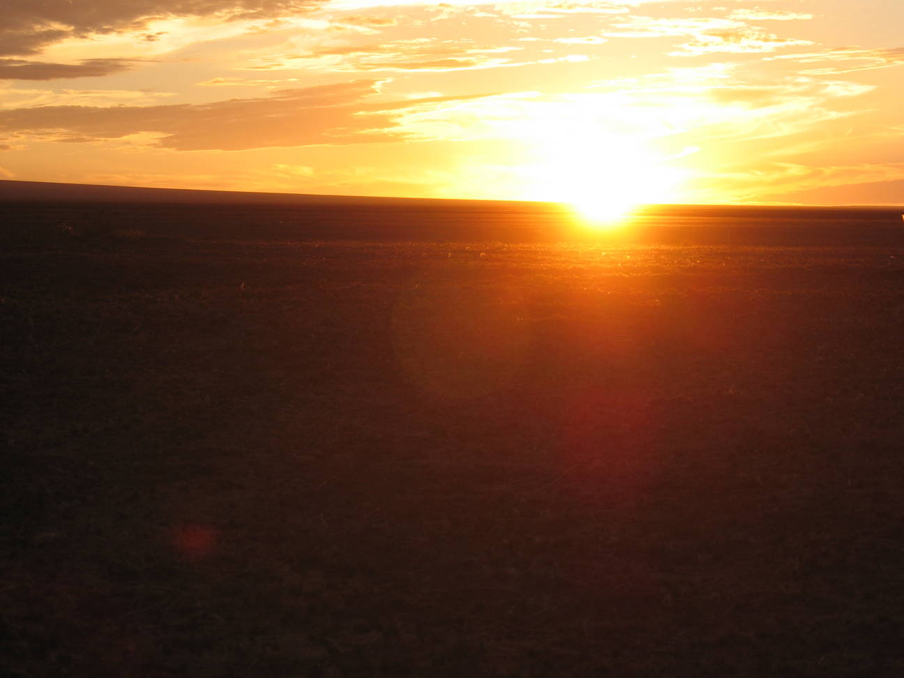 Camp Desert Gobi 30