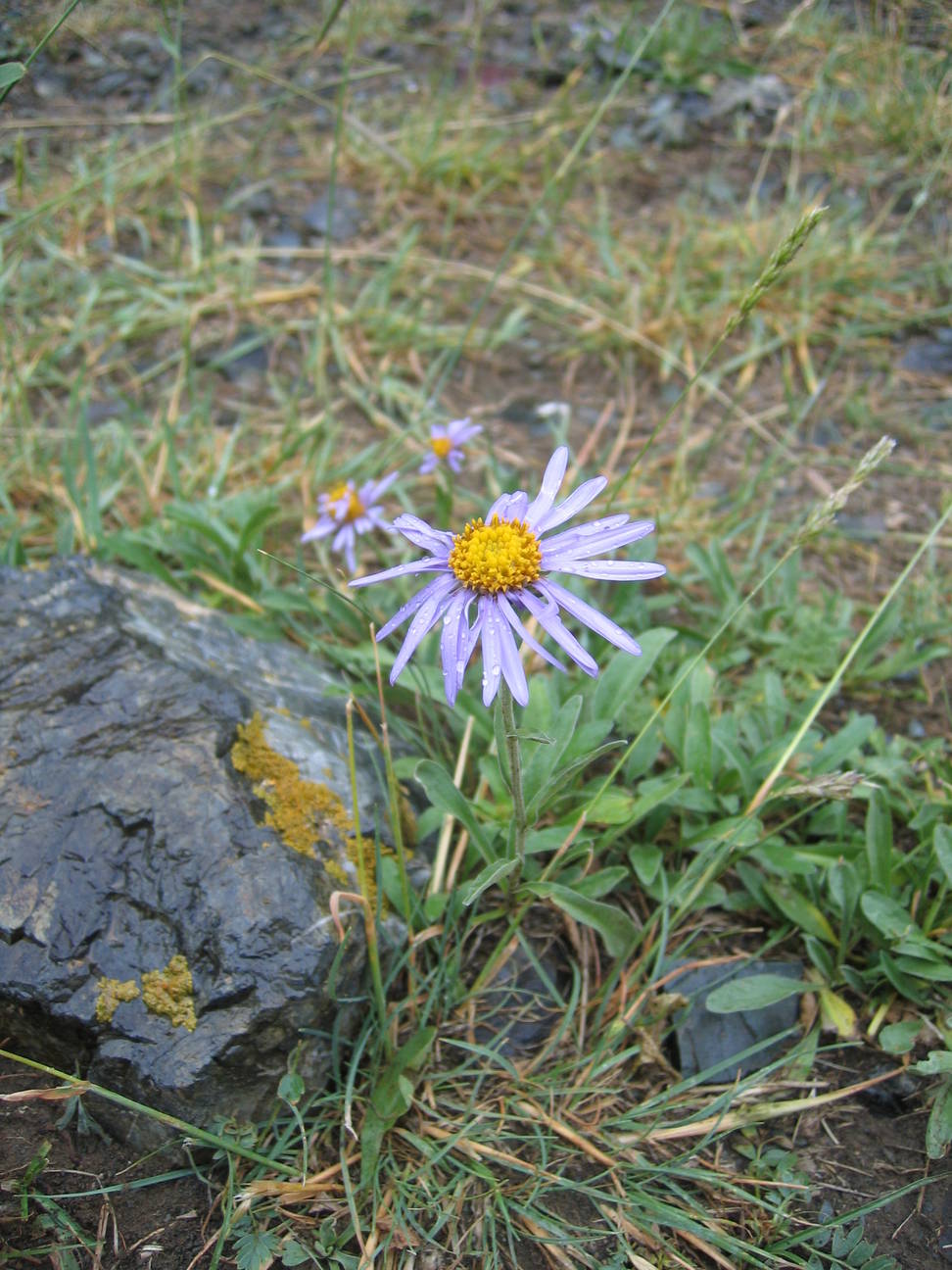 Wanderung Adlerschlucht 6