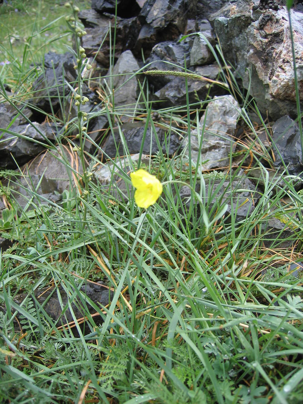 Wanderung Adlerschlucht 7