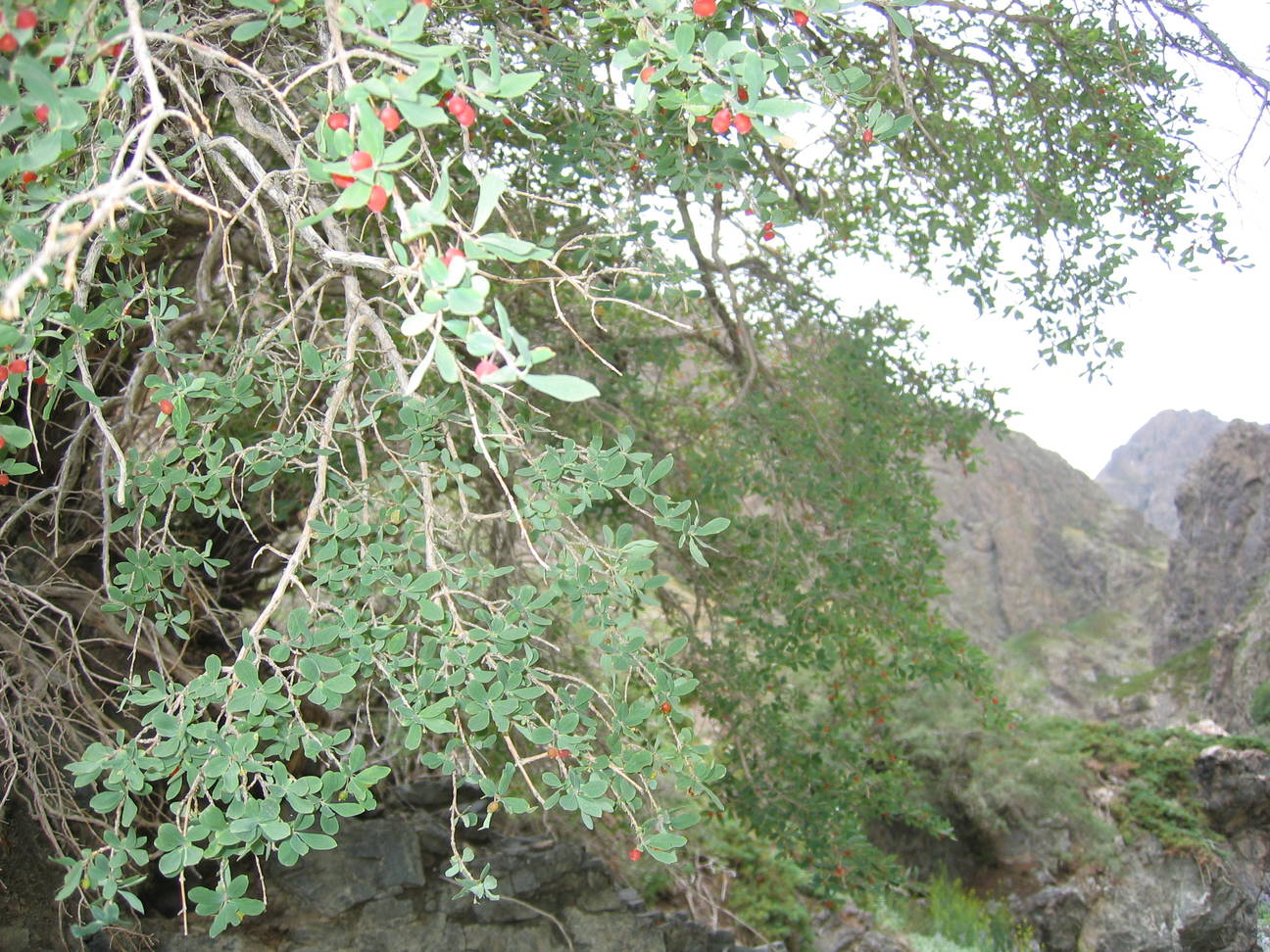 Wanderung Adlerschlucht 27