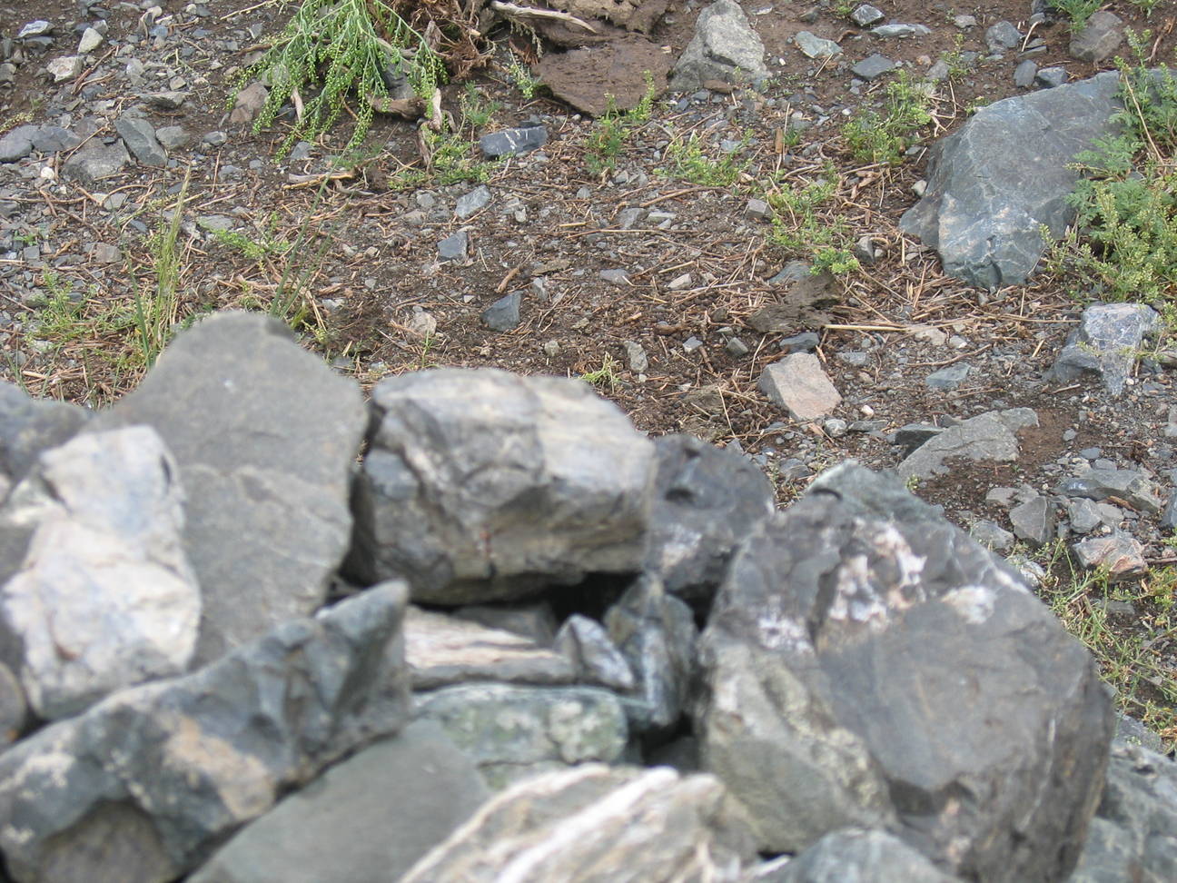 Wanderung Adlerschlucht 30