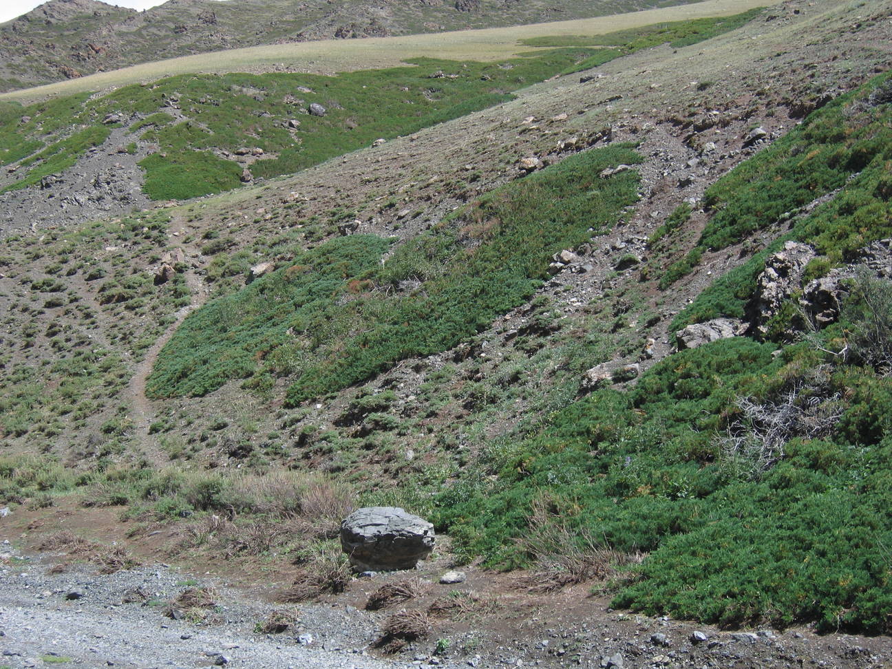 Wanderung Adlerschlucht 57