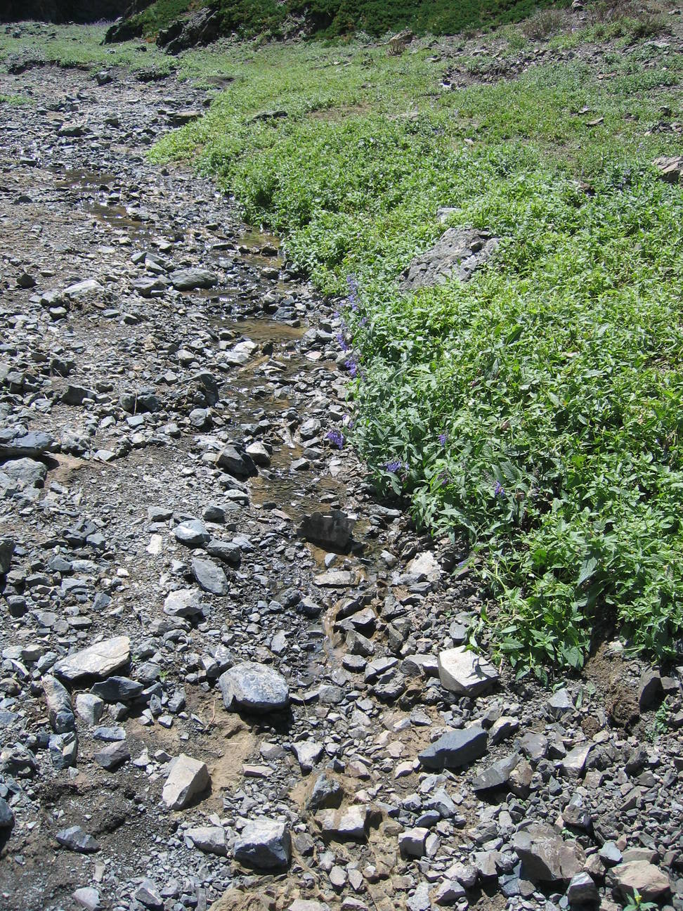 Wanderung Adlerschlucht 63