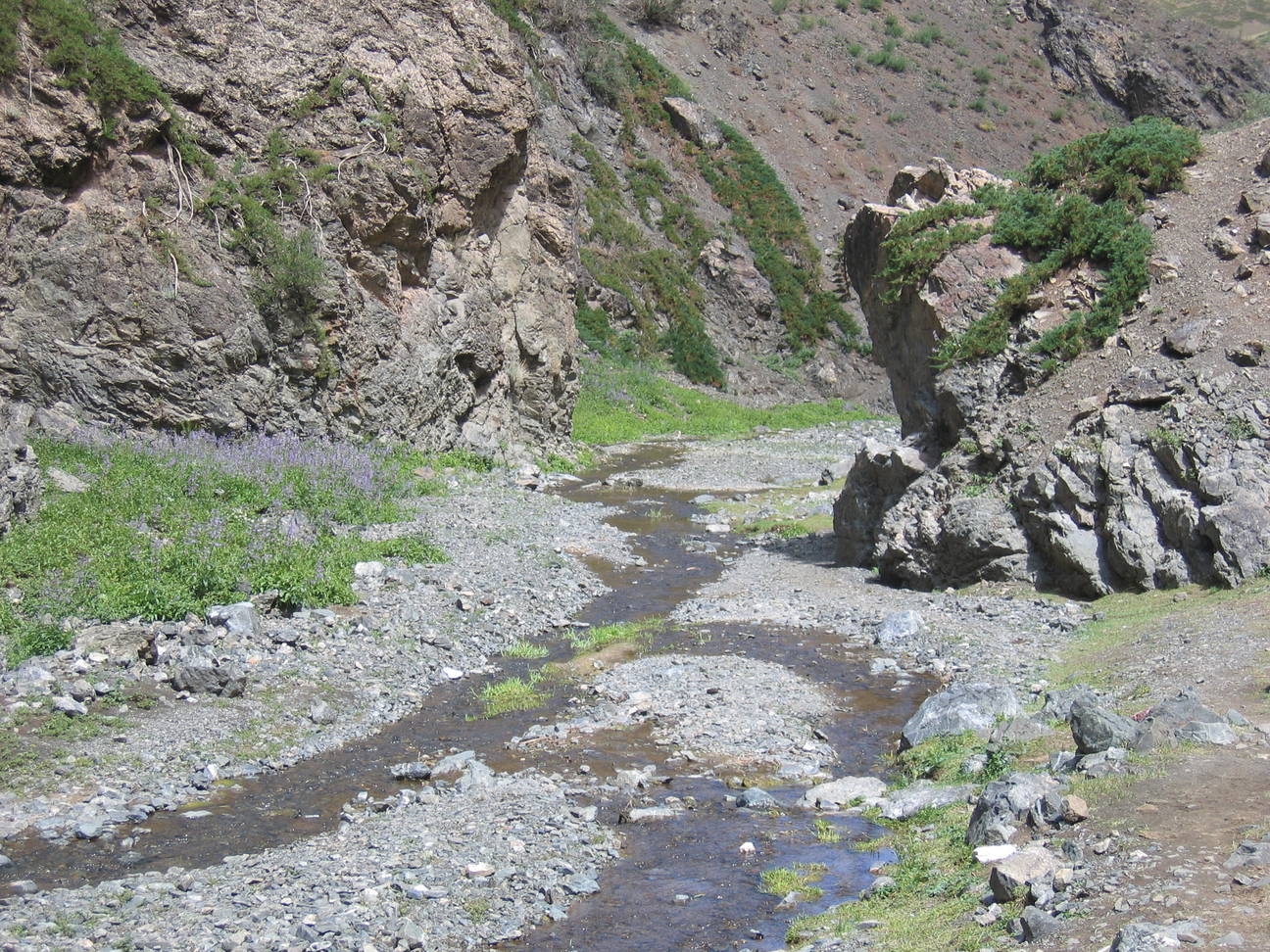 Wanderung Adlerschlucht 66