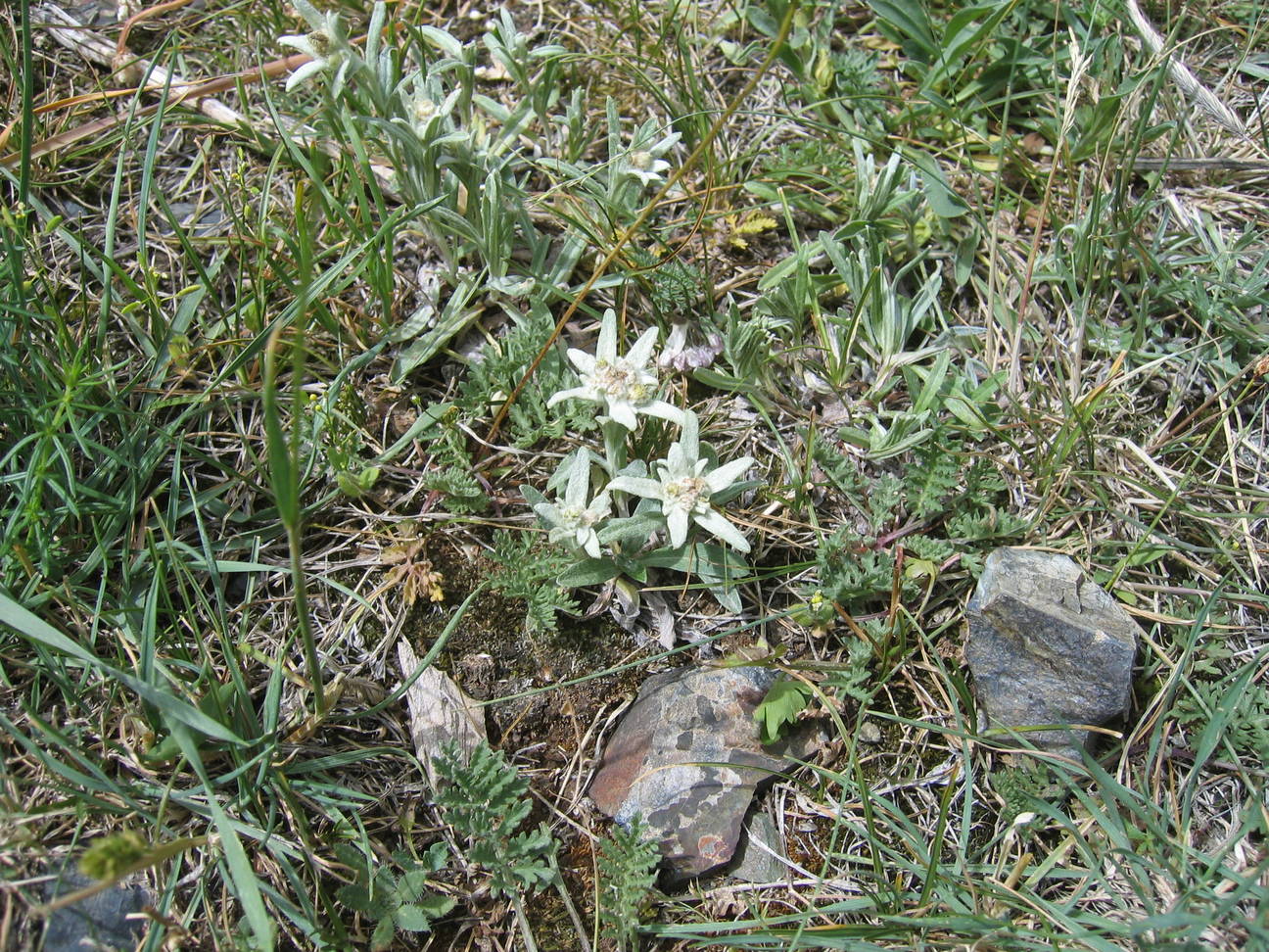 Wanderung Adlerschlucht 110