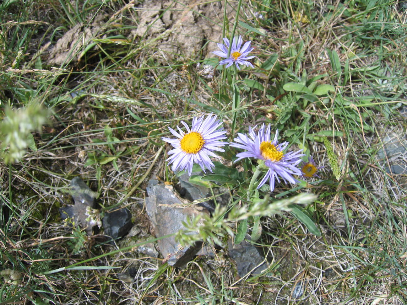 Wanderung Adlerschlucht 111