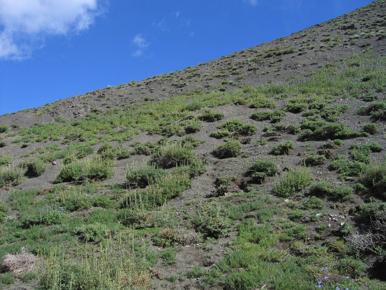 Eingang Adlerschlucht 10