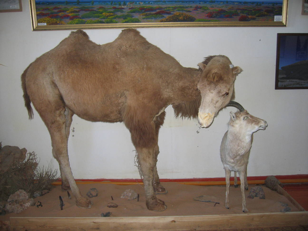 R&uuml;ckfahrt Camp Desert Gobi 39