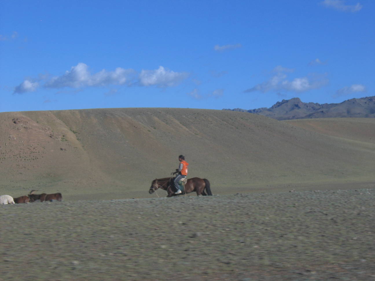 R&uuml;ckfahrt Camp Desert Gobi 47