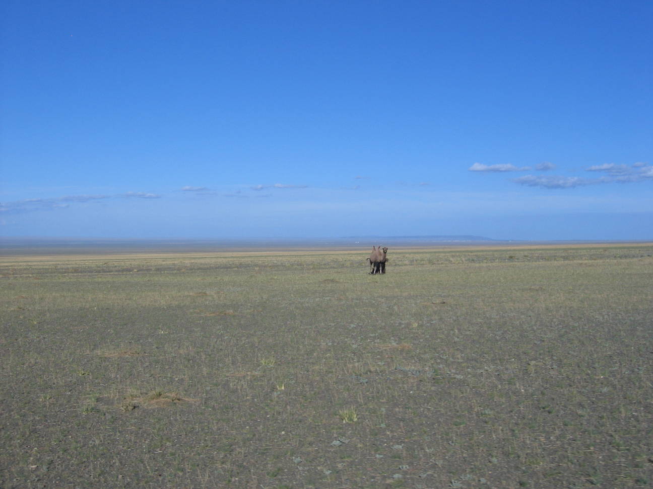R&uuml;ckfahrt Camp Desert Gobi 54