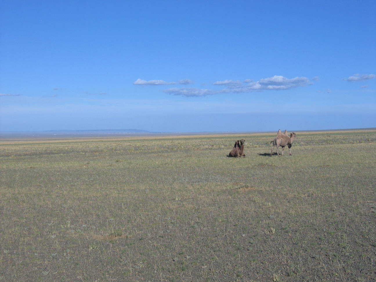 R&uuml;ckfahrt Camp Desert Gobi 55