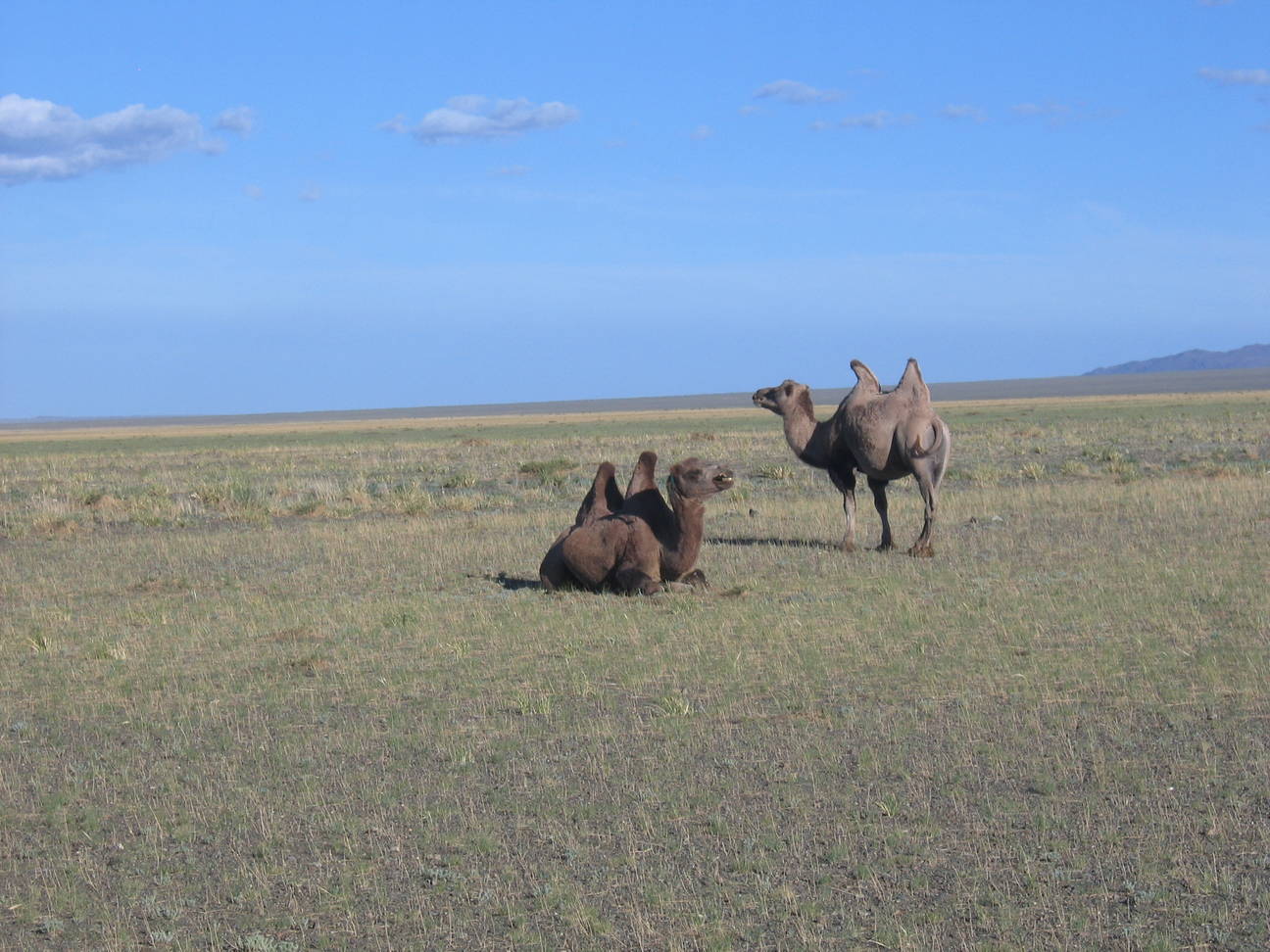 R&uuml;ckfahrt Camp Desert Gobi 56