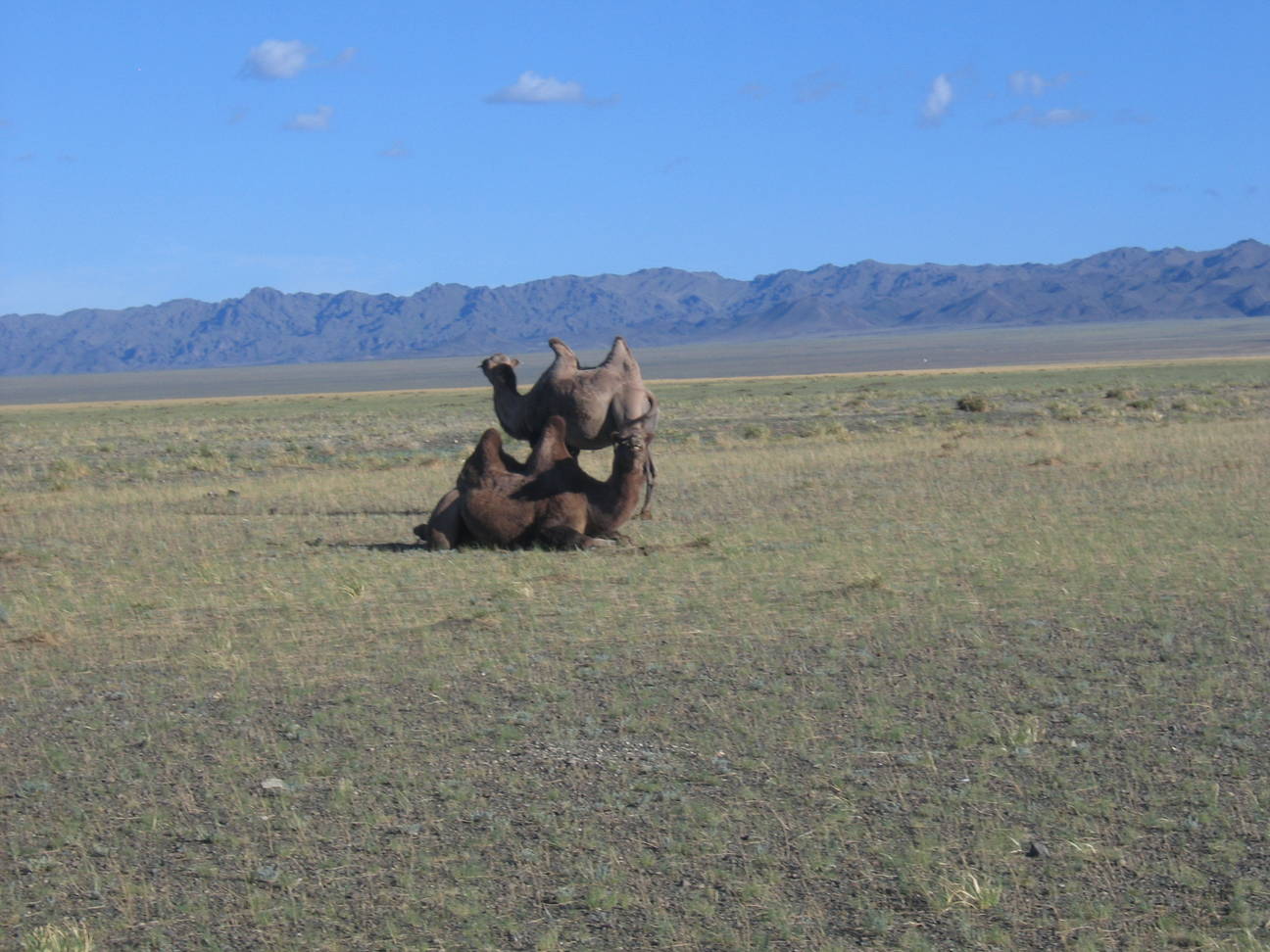 R&uuml;ckfahrt Camp Desert Gobi 58