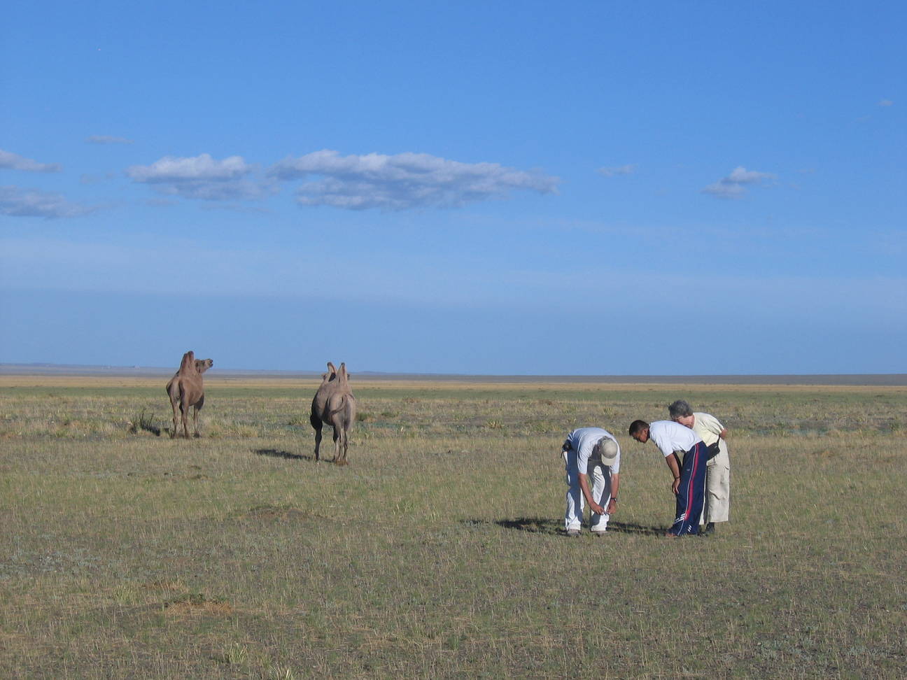 R&uuml;ckfahrt Camp Desert Gobi 63