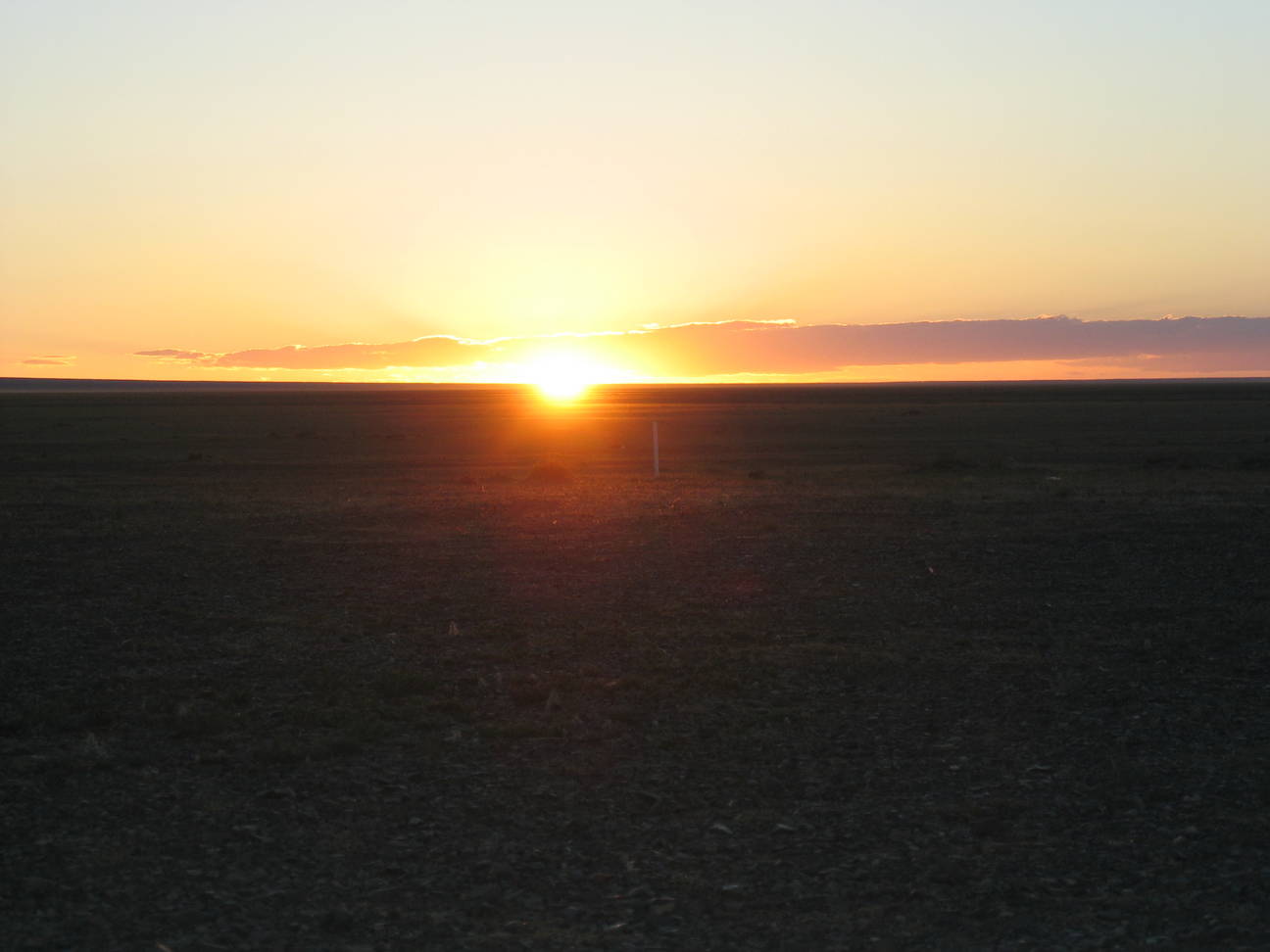 Camp Desert Gobi 47
