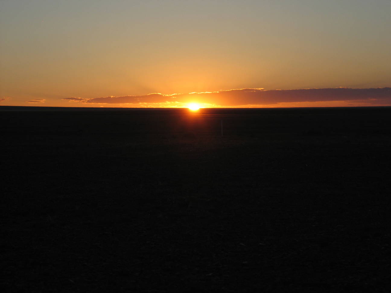 Camp Desert Gobi 48