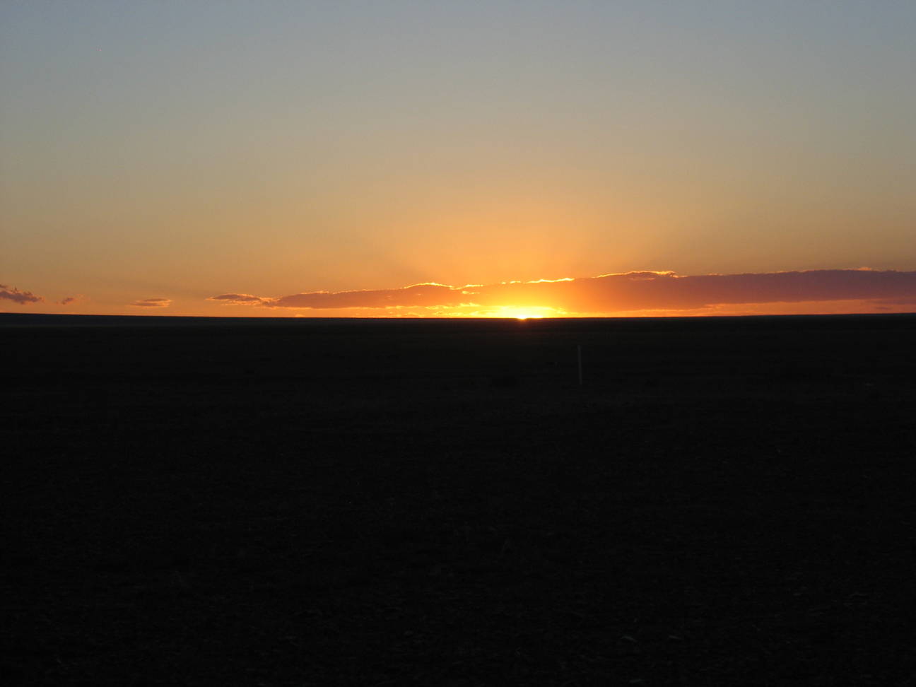 Camp Desert Gobi 50