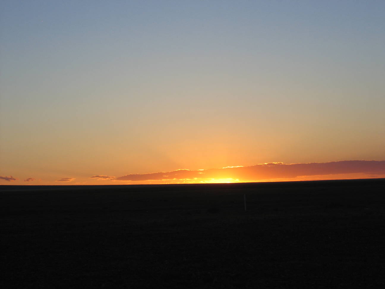 Camp Desert Gobi 53