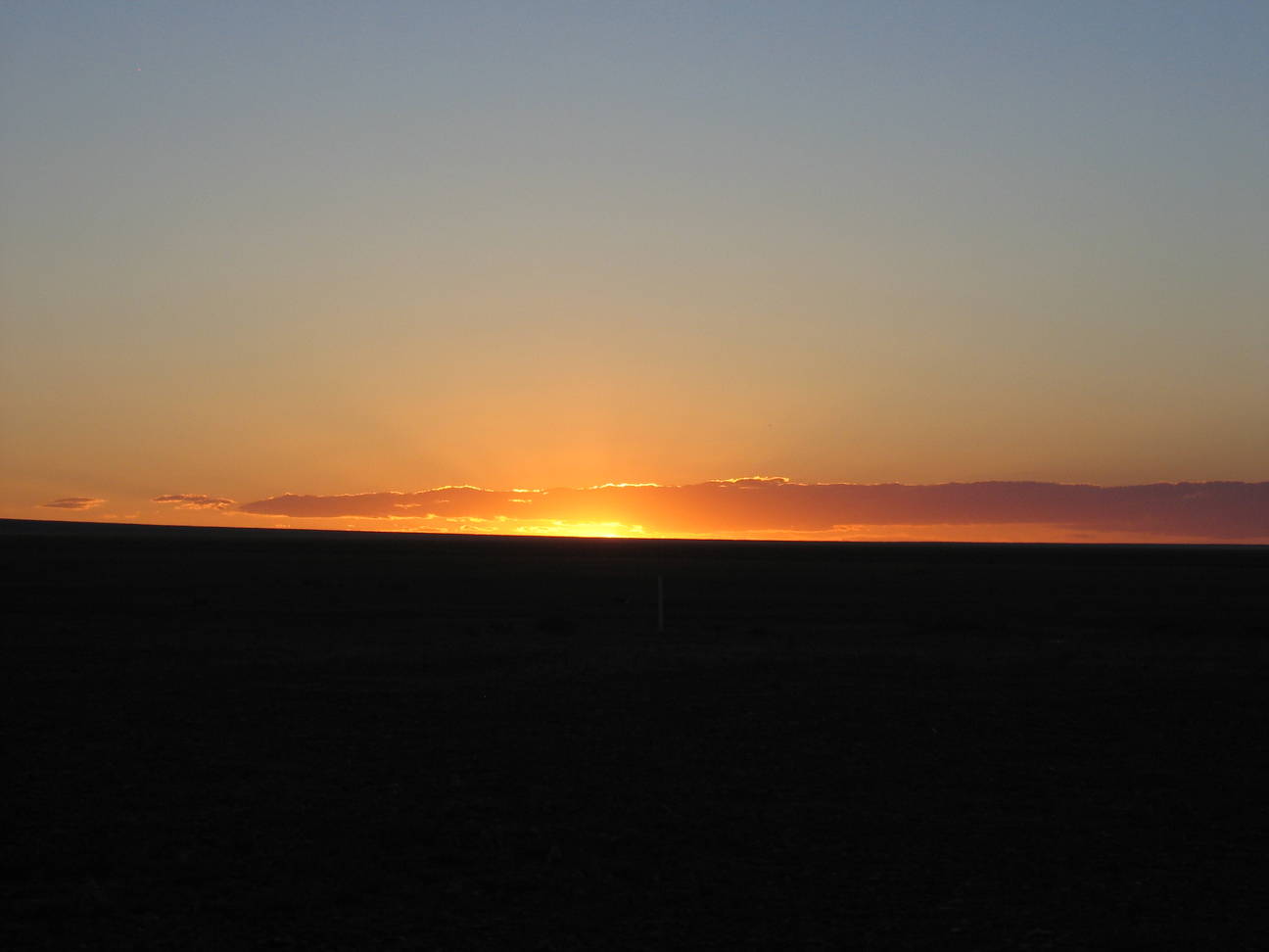 Camp Desert Gobi 54