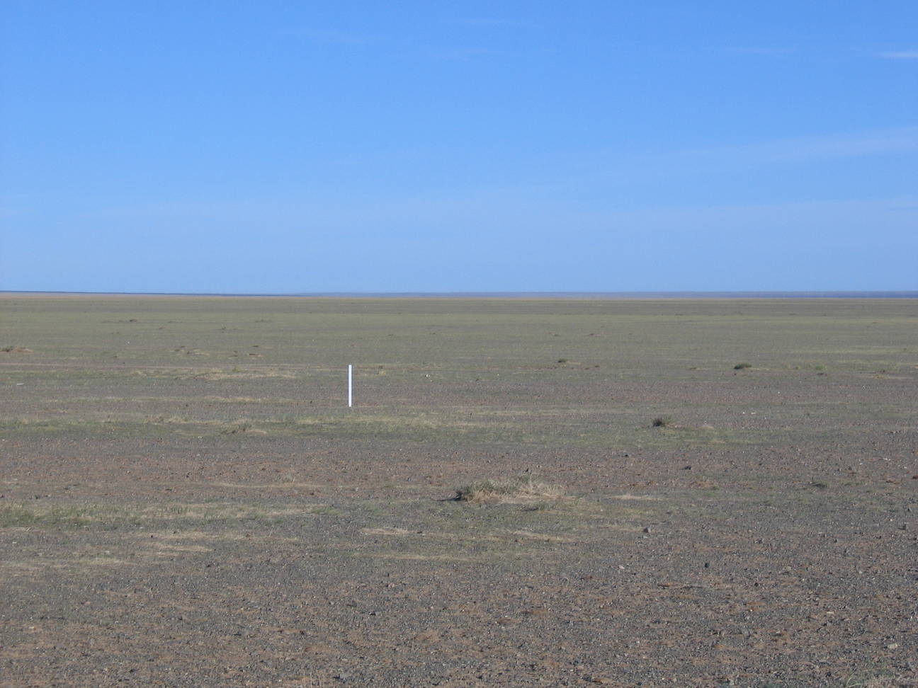 Camp Desert Gobi 56