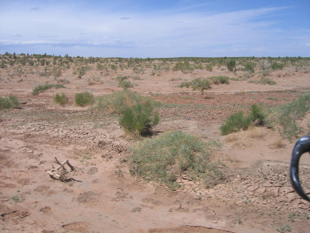 Fahrt zum Camp Tsagaan Ovoo 2