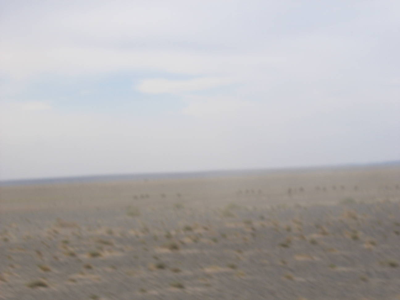 Fahrt zum Camp Tsagaan Ovoo 36