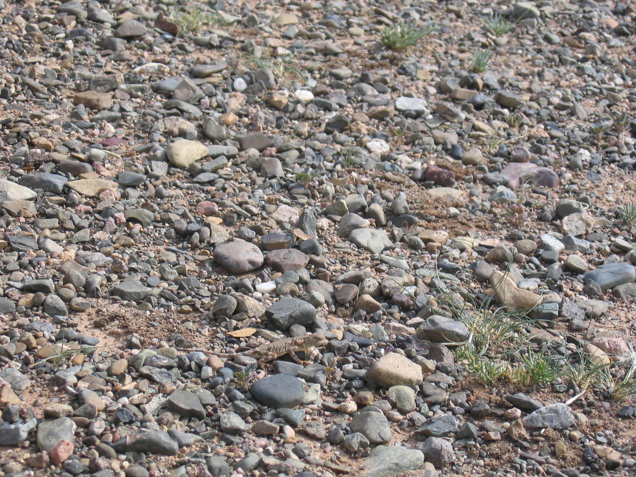 Fahrt zum Camp Tsagaan Ovoo 41