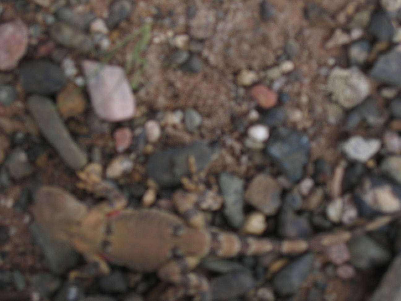 Fahrt zum Camp Tsagaan Ovoo 42