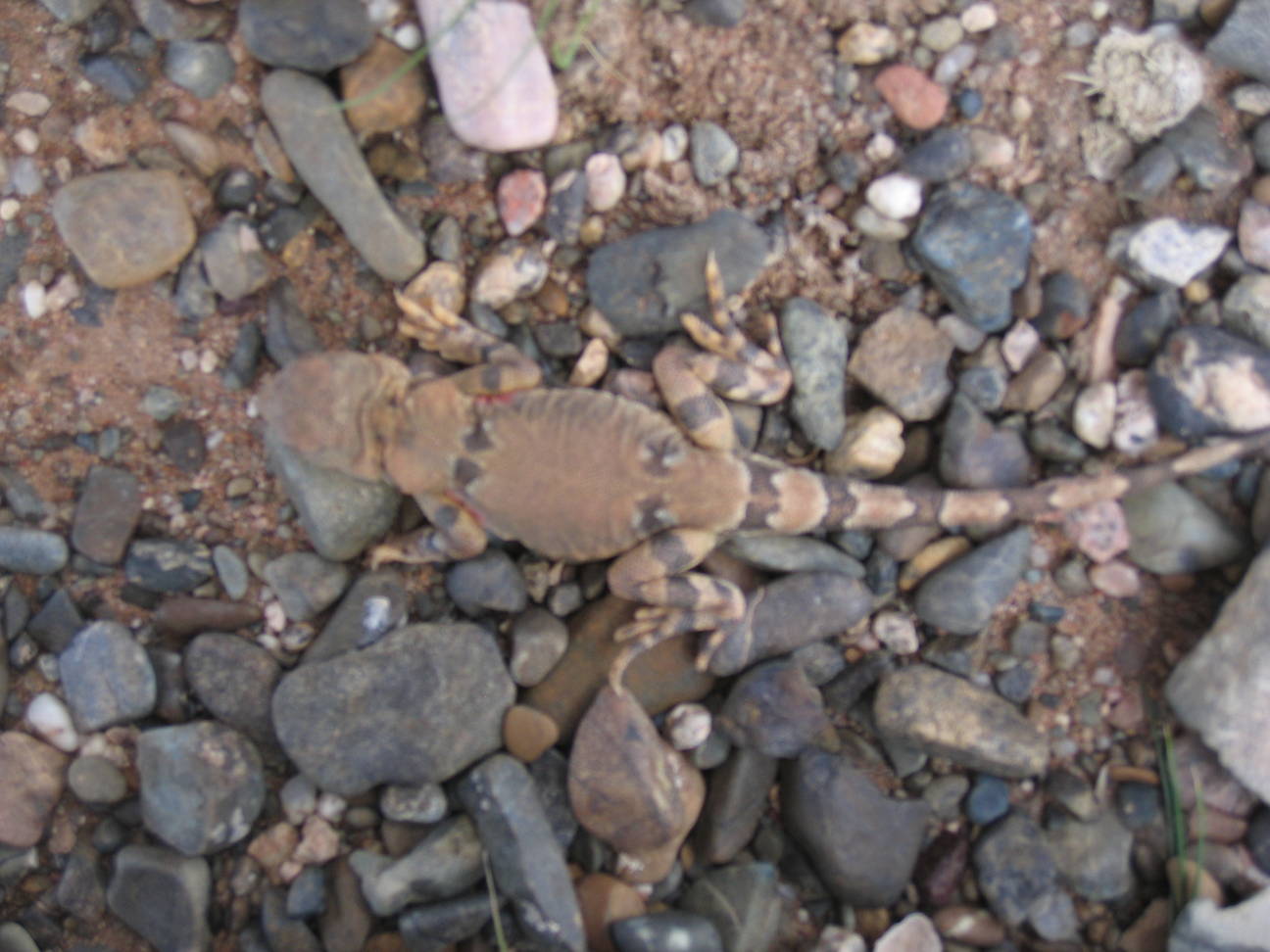 Fahrt zum Camp Tsagaan Ovoo 43