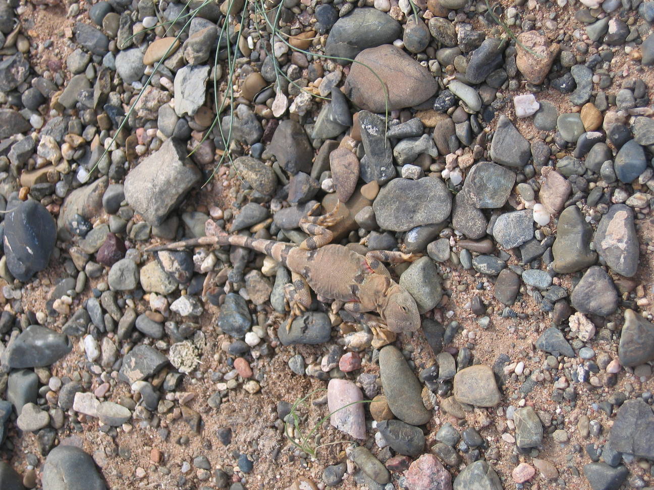 Fahrt zum Camp Tsagaan Ovoo 44