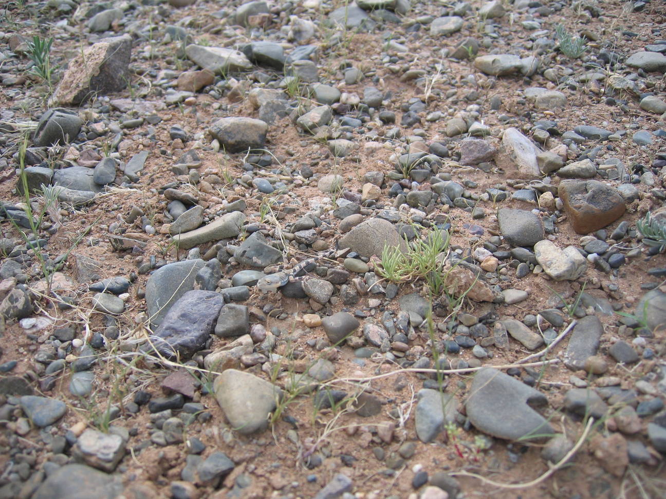 Fahrt zum Camp Tsagaan Ovoo 57