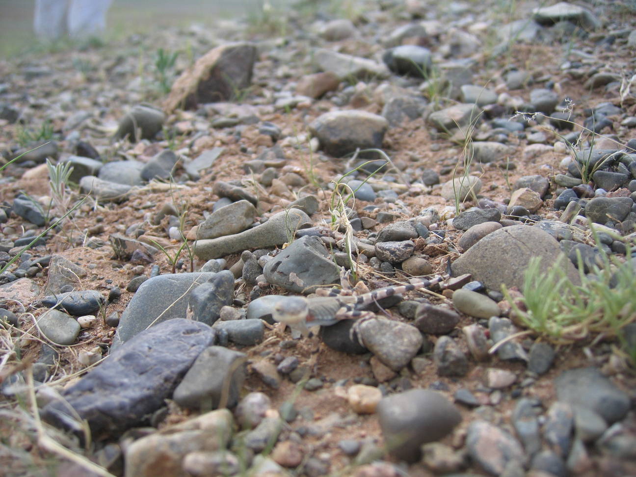 Fahrt zum Camp Tsagaan Ovoo 58