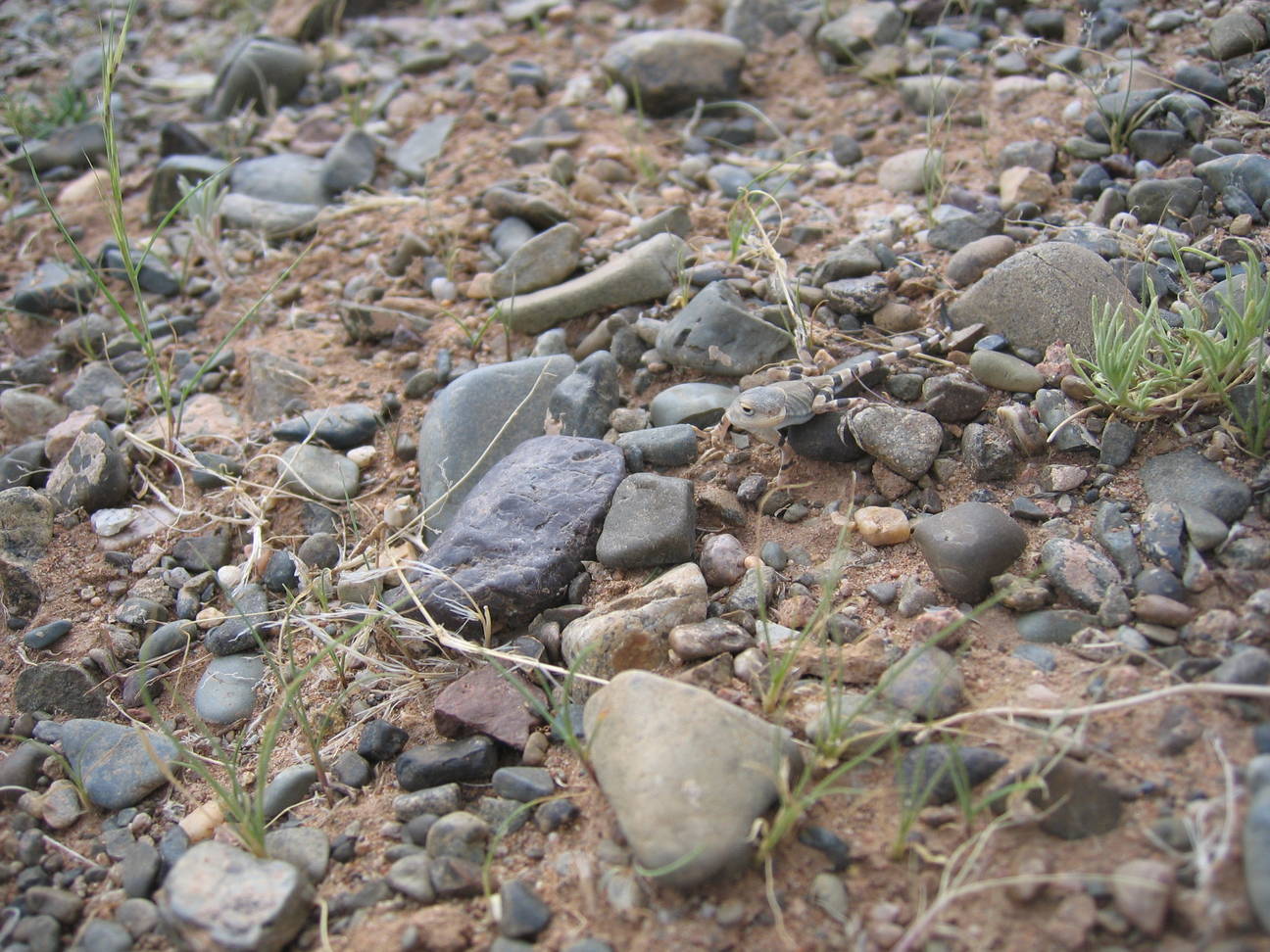 Fahrt zum Camp Tsagaan Ovoo 59