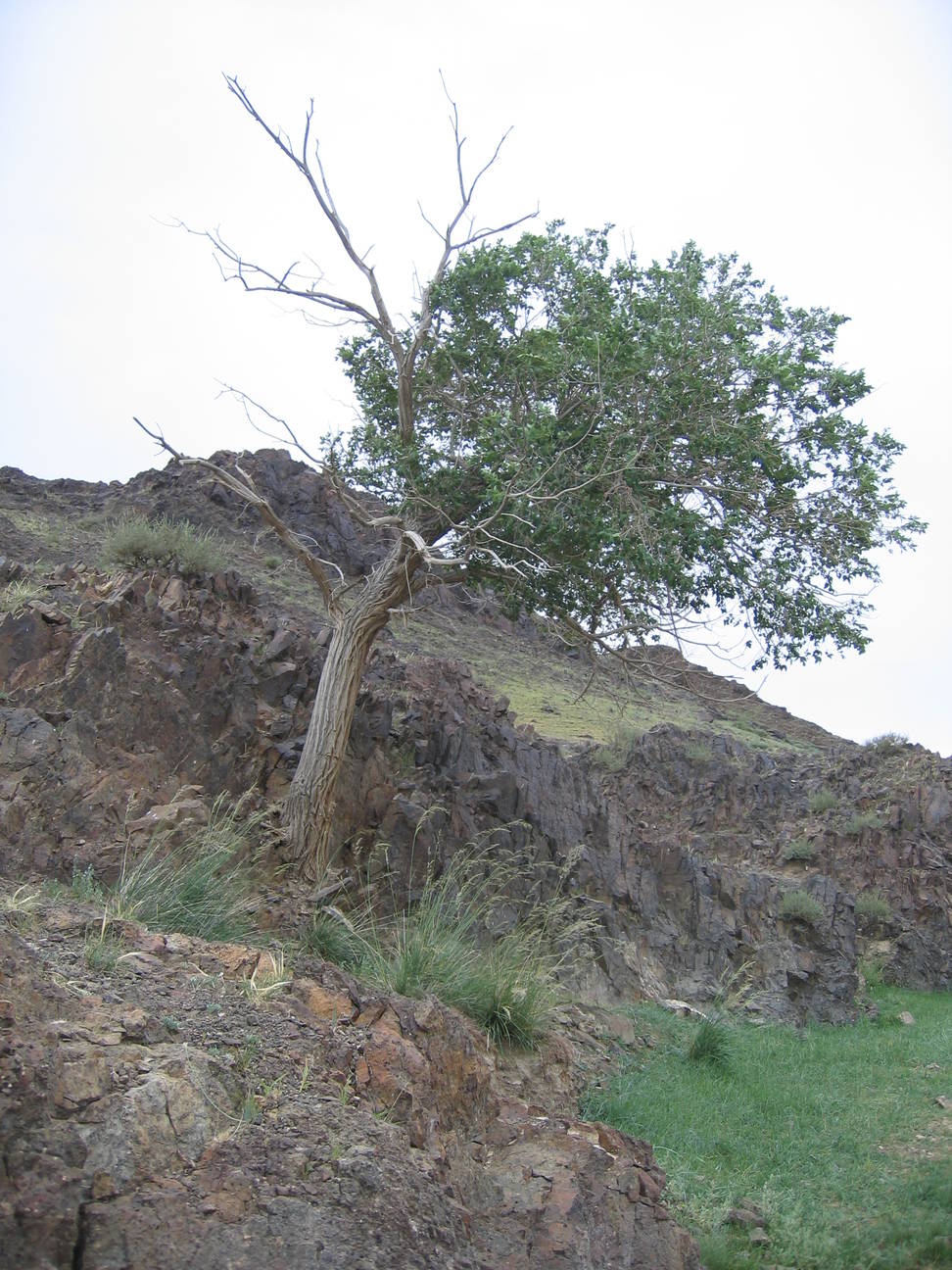 Umgebung Camp Tsagaan Ovoo 3