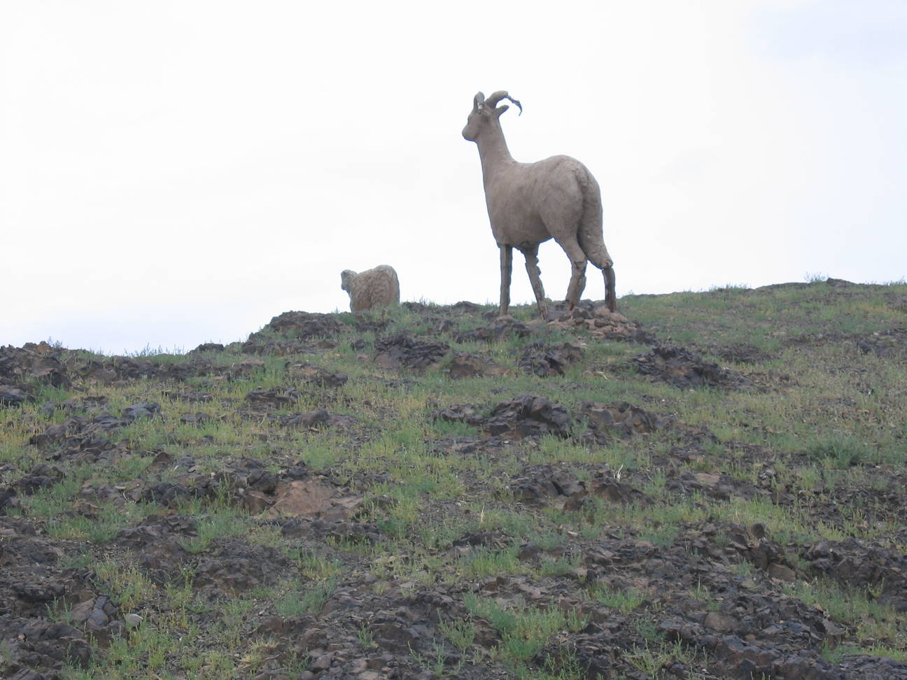 Umgebung Camp Tsagaan Ovoo 6