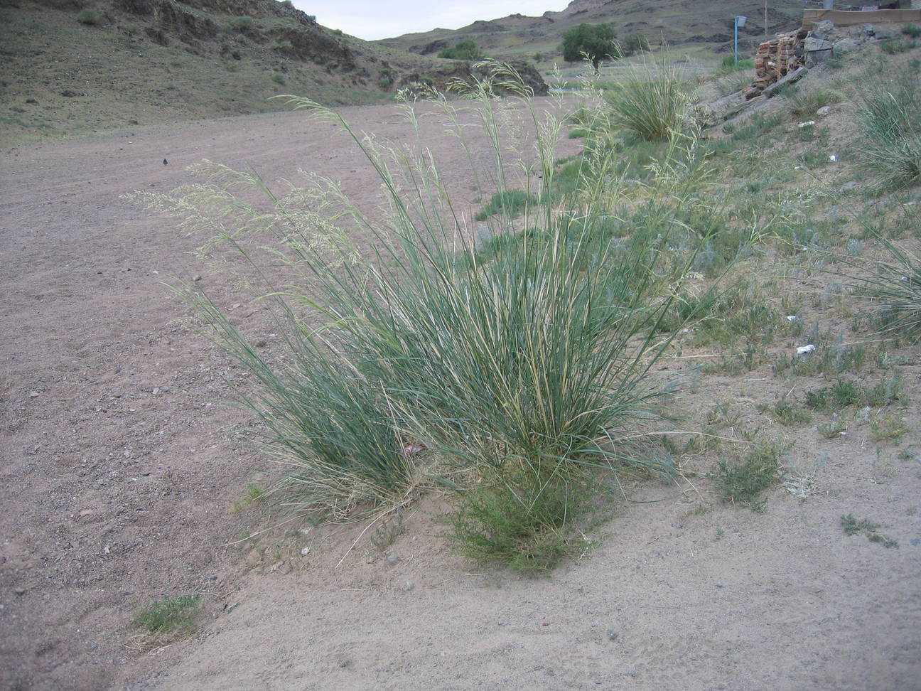 Umgebung Camp Tsagaan Ovoo 8