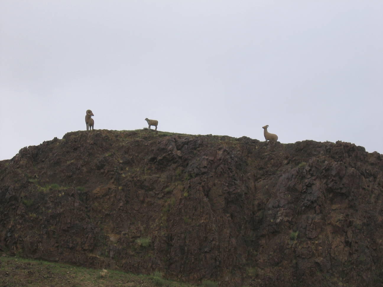 Umgebung Camp Tsagaan Ovoo 9