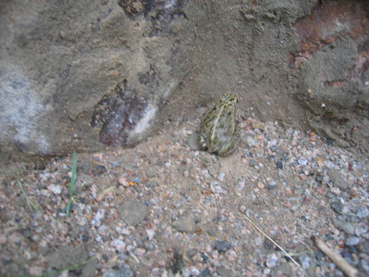 Camp Tsagaan Ovoo 20