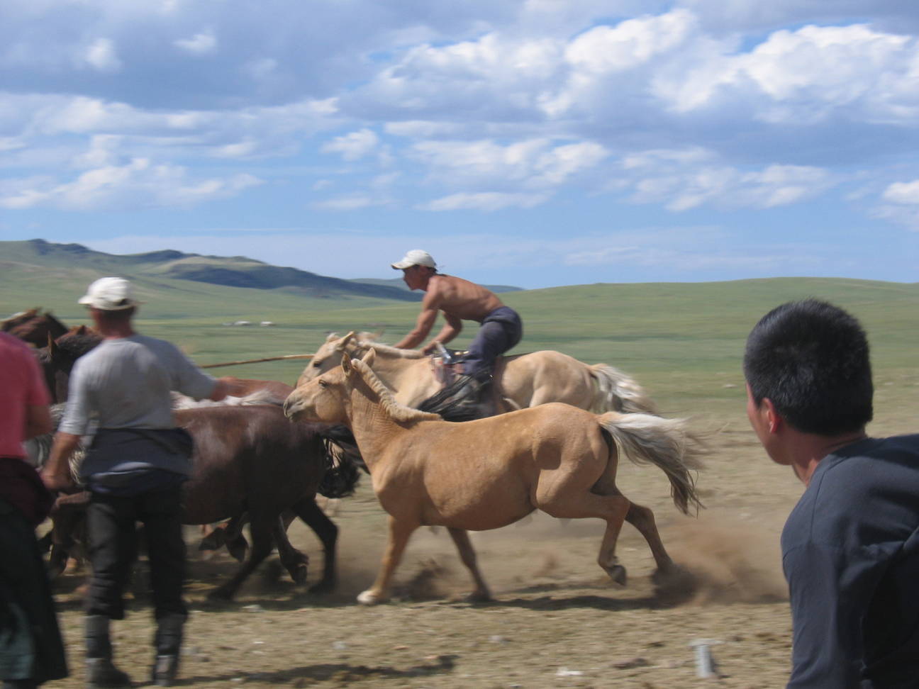 Pferdez&uuml;chter 19