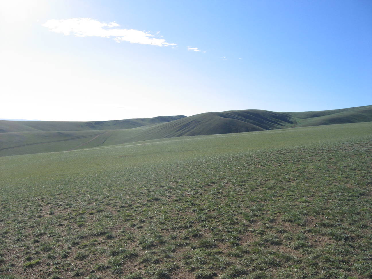 Camp Kubilai Khan 23