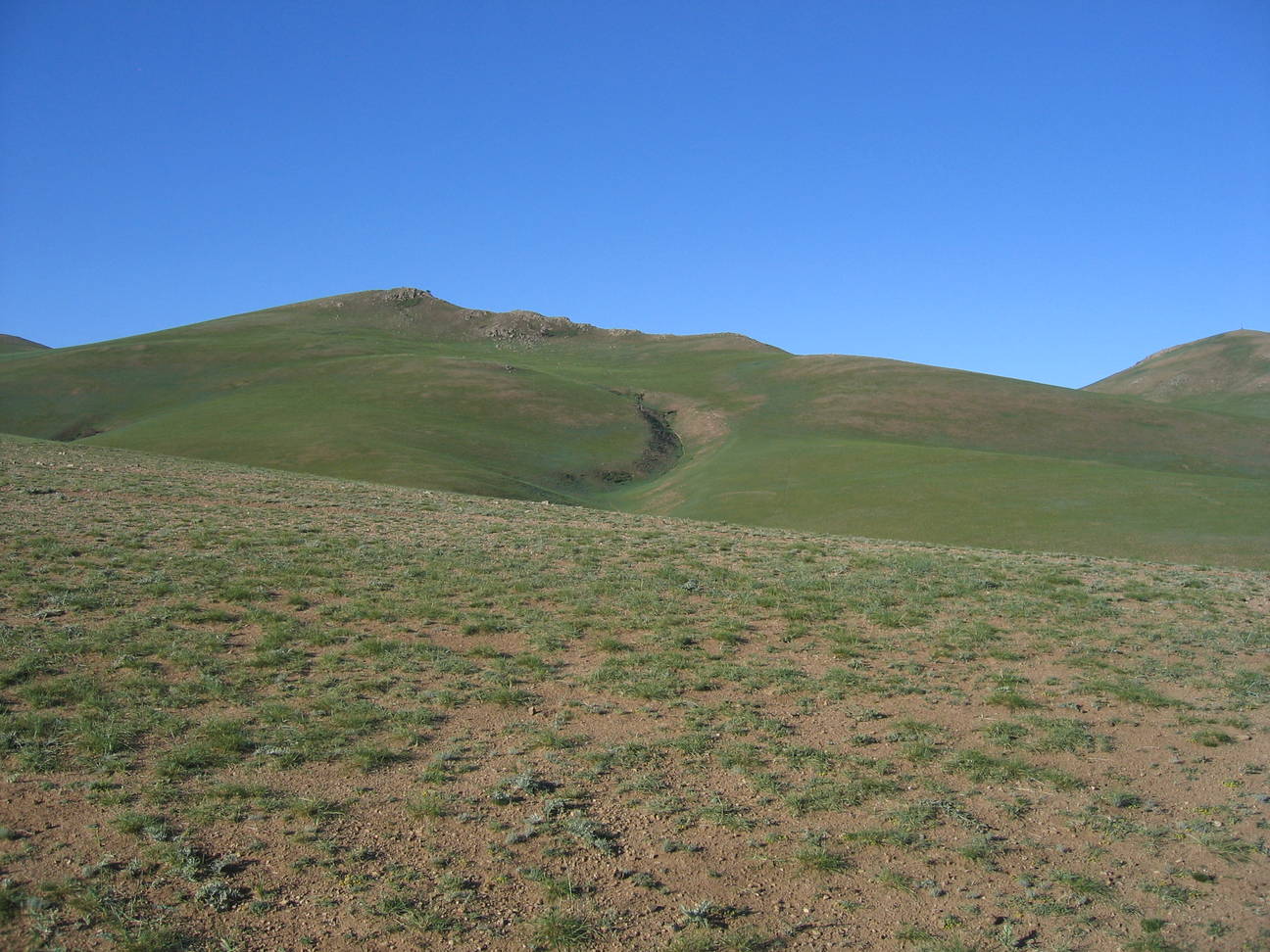 Camp Kubilai Khan 26