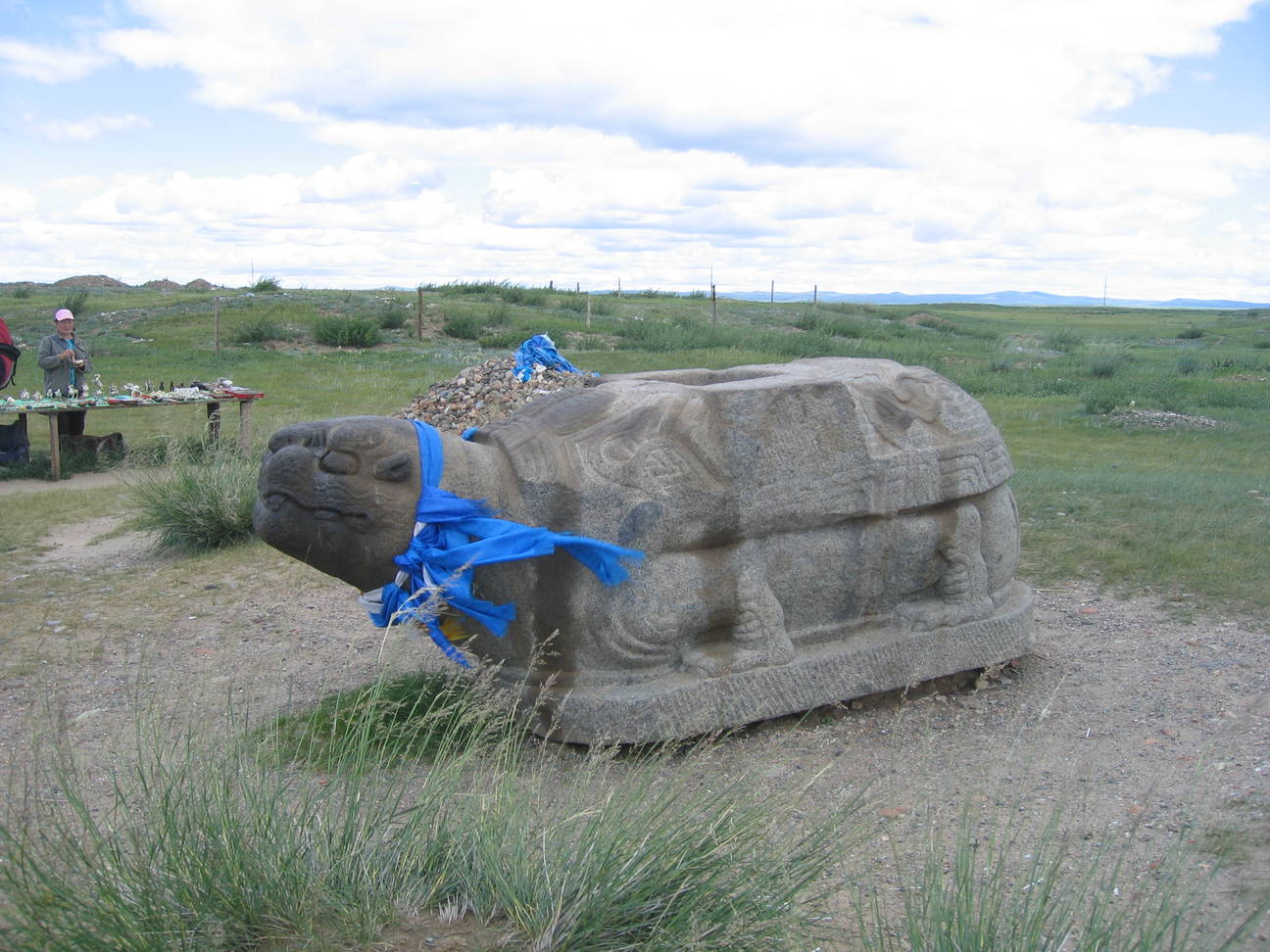 Schildkr&ouml;te von Karakorum 1