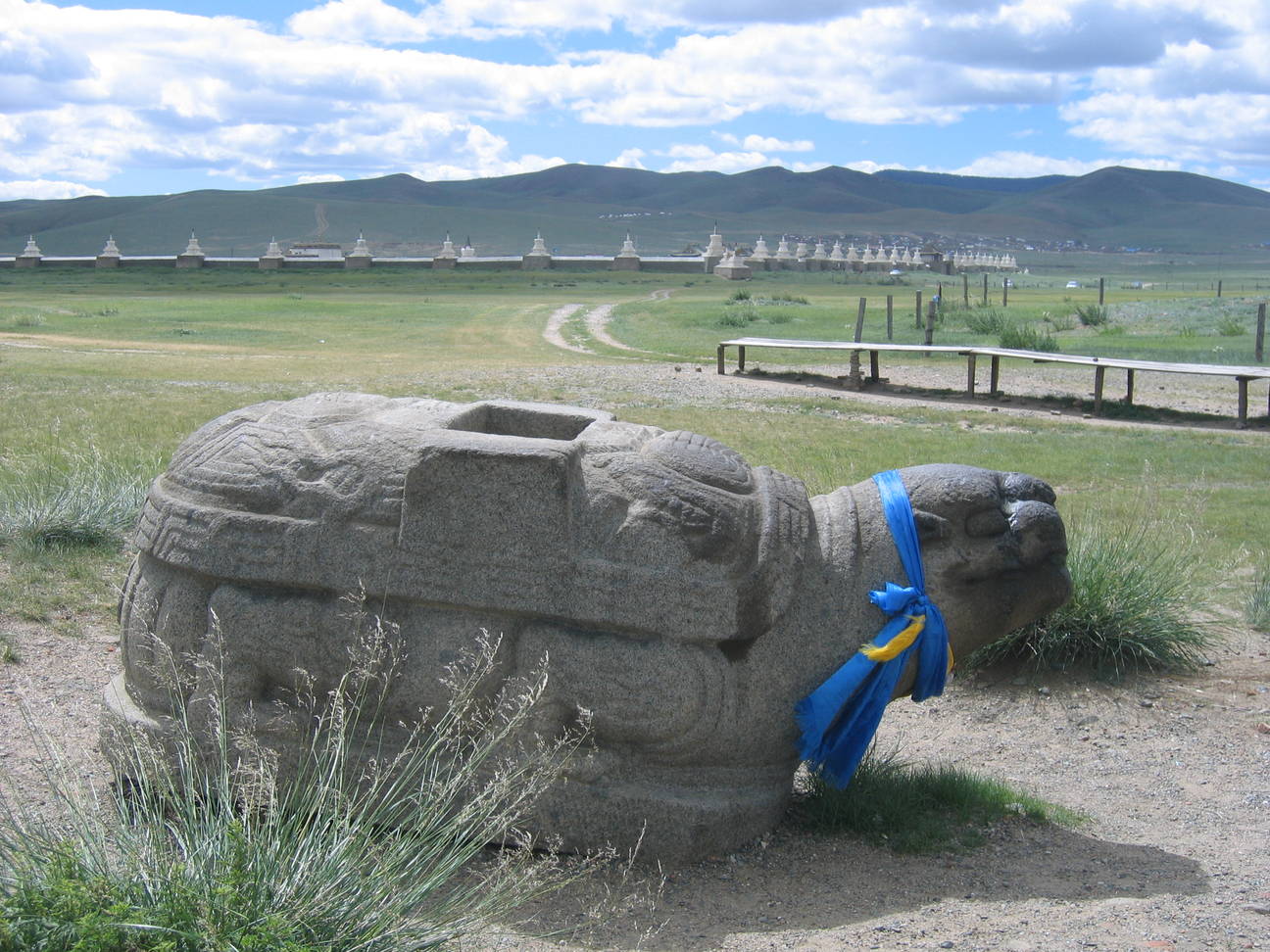 Schildkr&ouml;te von Karakorum 2