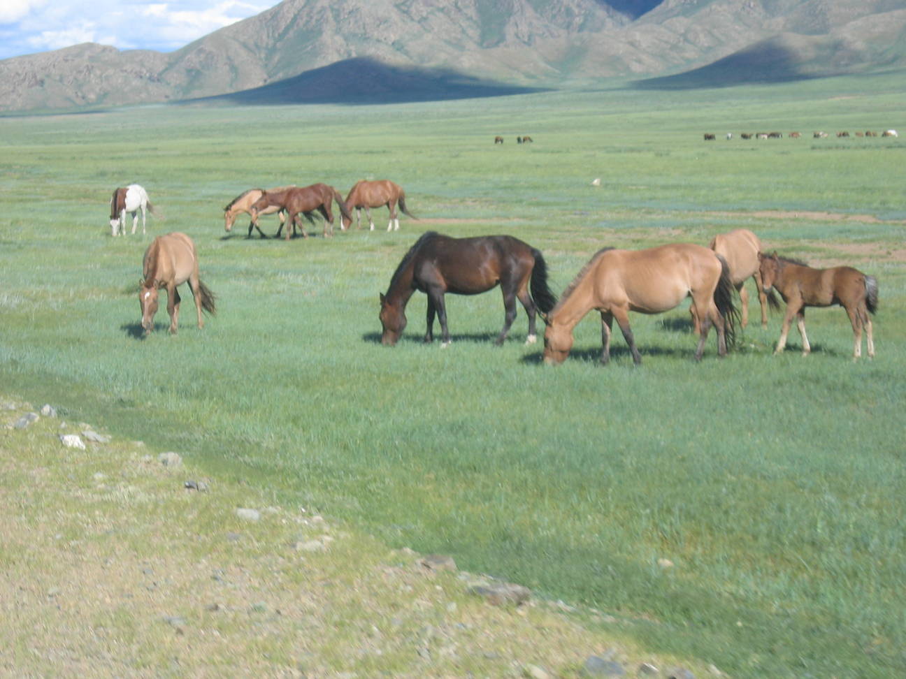 Fahrt nach Bayan Gobi 17