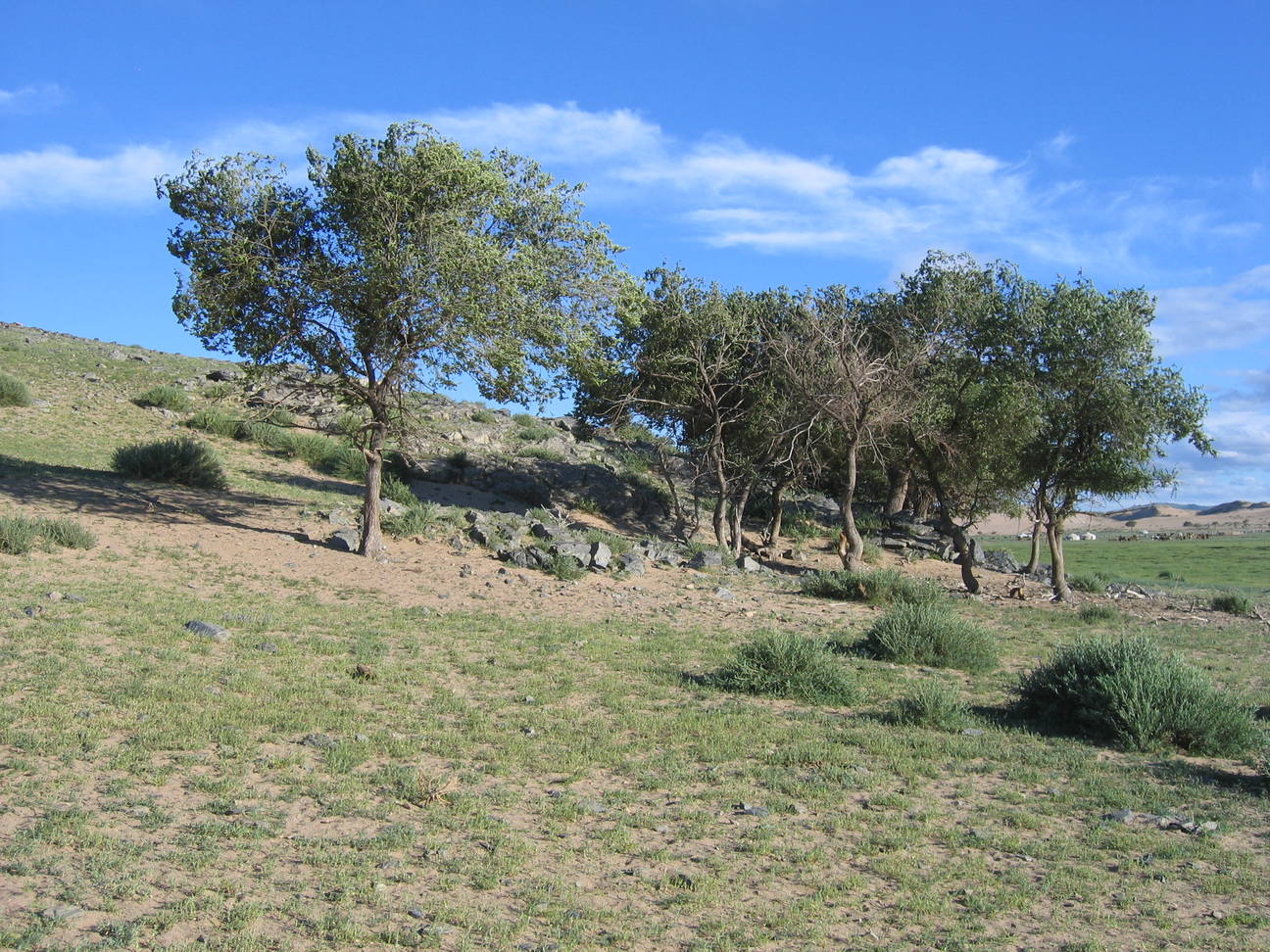 Spaziergang Camp Bayan Gobi 4