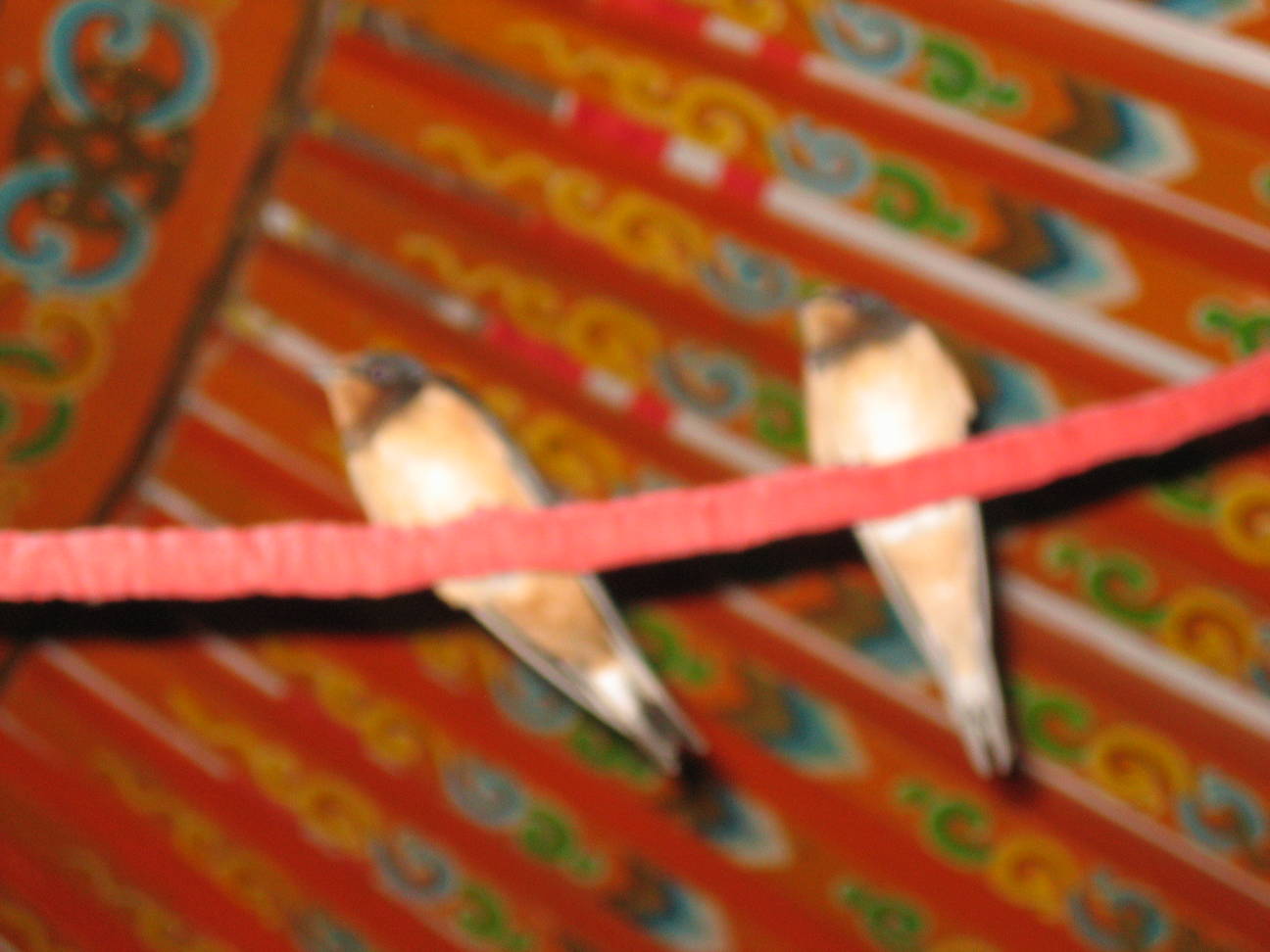 Camp Bayan Gobi  14