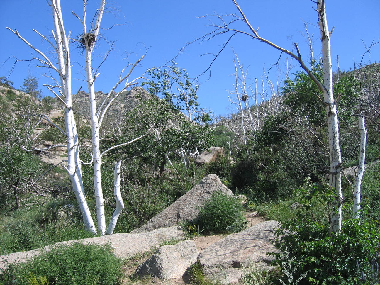 Wanderung zum Kloster Ovgon Hiid 9