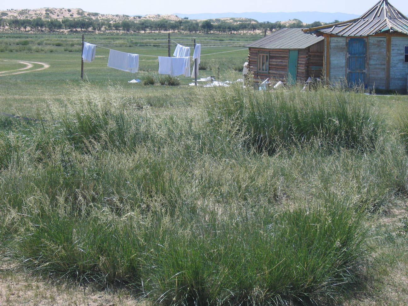 Camp Bayan Gobi  16