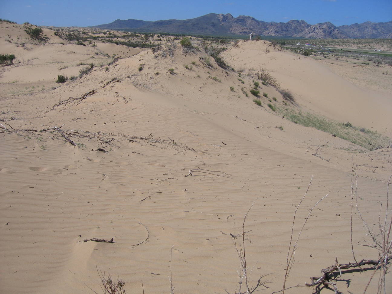 Sandd&uuml;ne Mogol els 6